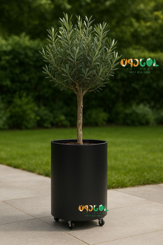 دیپ استوانه چرخدار 50 به همراه کشوی تخلیه آب مخفی