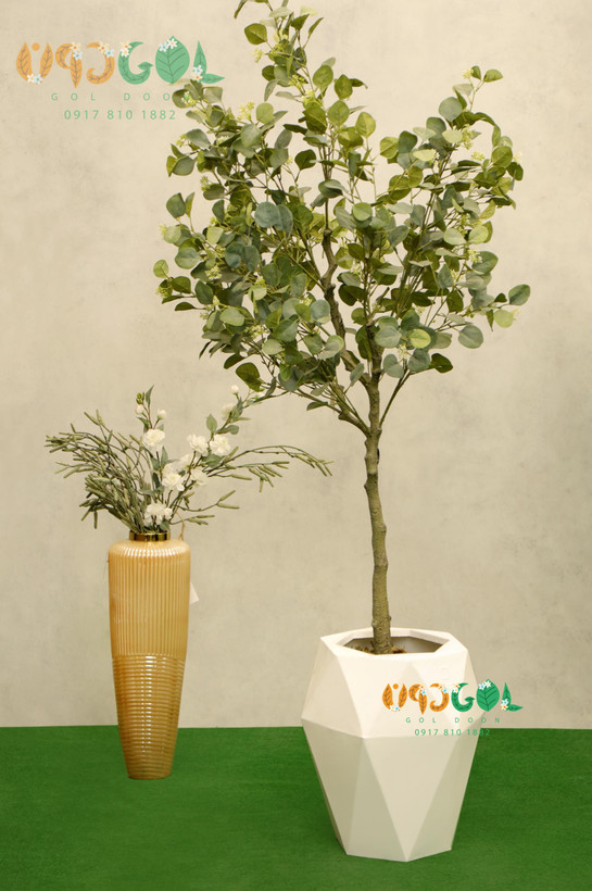 درختچه اکالیپتوس برگ ابری نقره ای 170 سانت