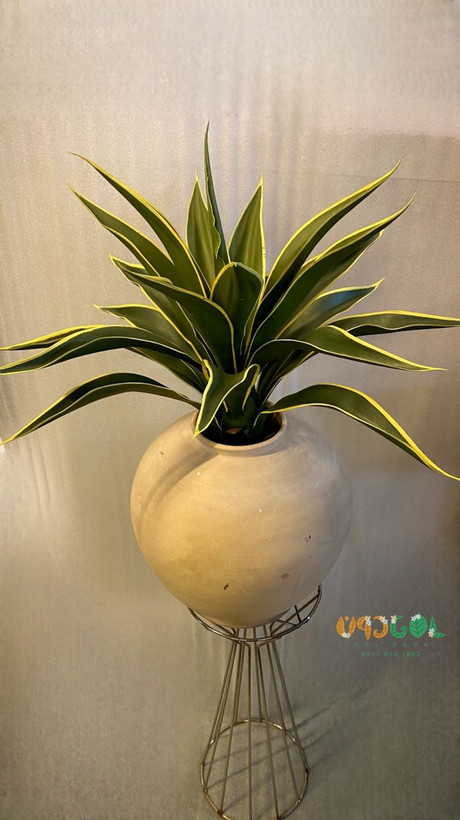 درختچه آگاو مصنوعی برگ چرمی