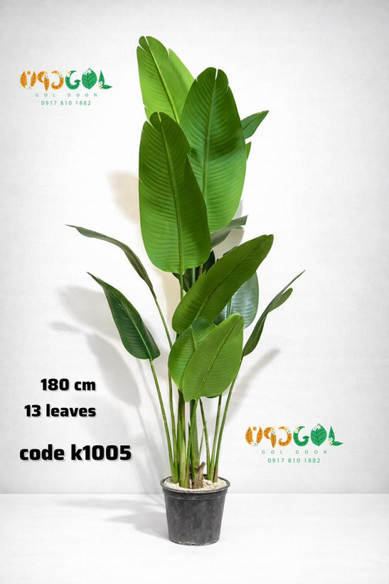 درختچه پرنده بهشتی 13 برگ 180 سانت (code k1005) کپی