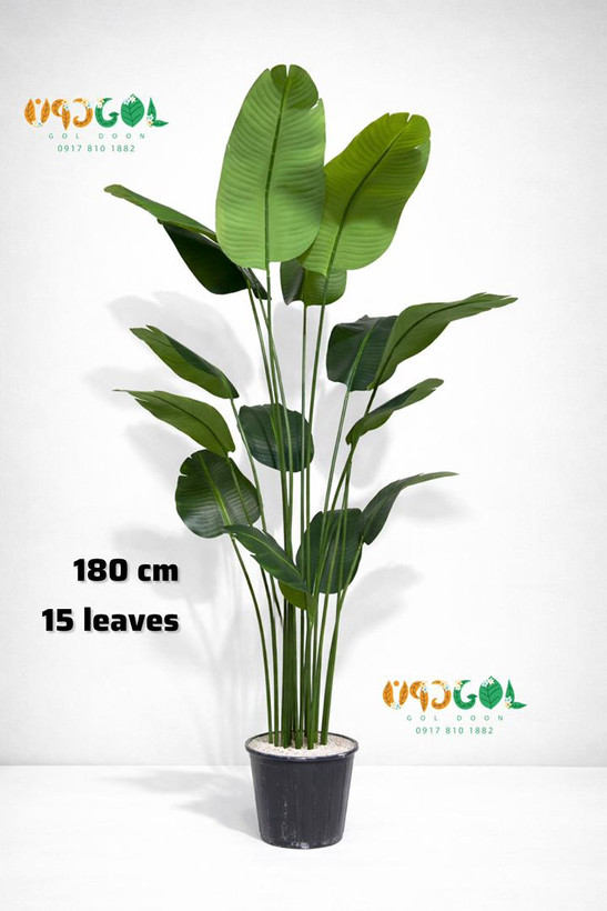 درختچه پرنده بهشتی 15 برگ (code 1003)