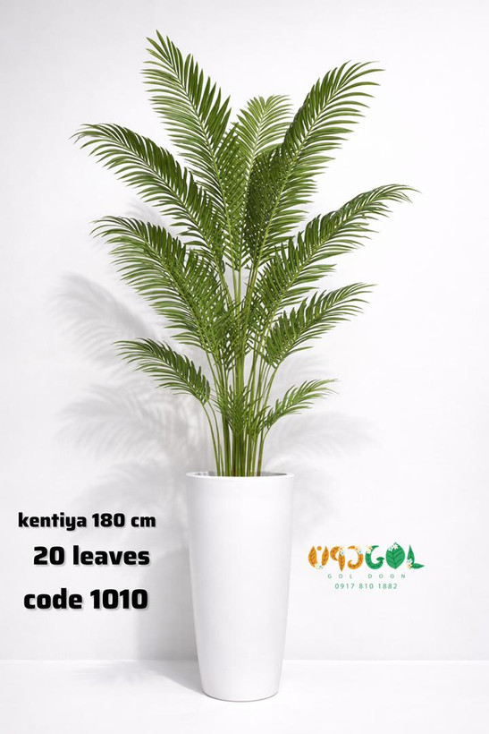 درختچه کنتیا 20 برگ 180 سانت(code 1010)
