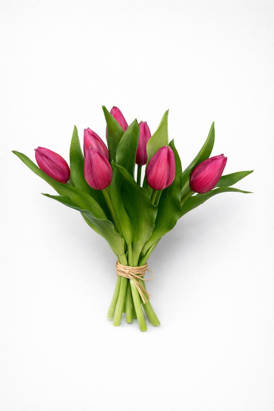 دسته گل لاله سرخابی کوتاه