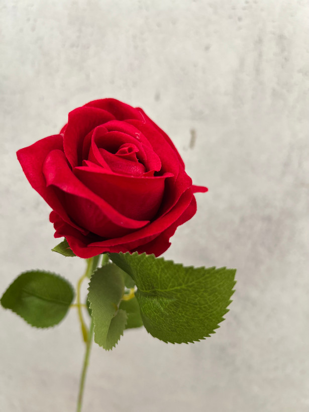 شاخه مصنوعی رز سوپر مخملی