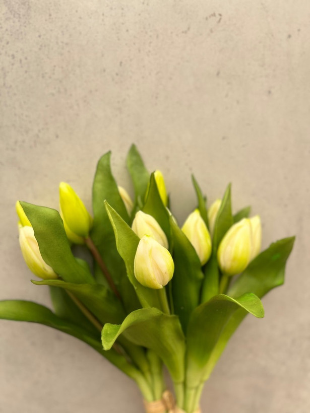 دسته گل لاله (سفیدسبز)کوتاه
