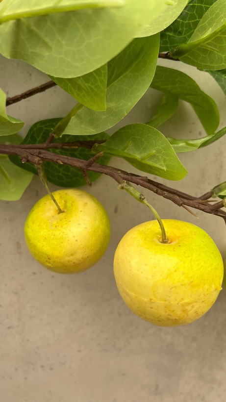 شاخه میوه سیب مصنوعی
