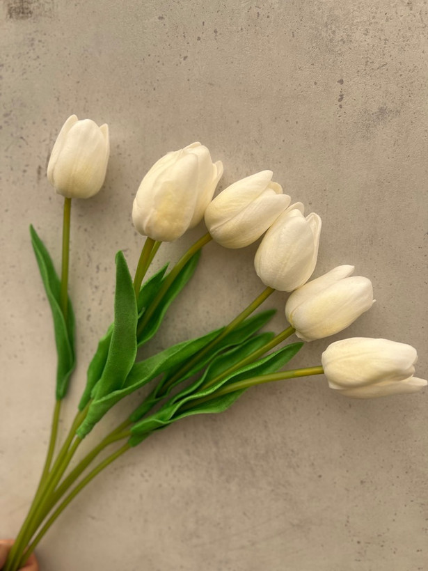 دسته گل لاله سفید لمسی( 5 شاخه) درجه یک