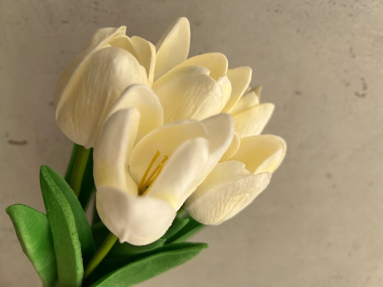 دسته گل لاله نیمه باز سفیدکرمی لمسی ( 5 شاخه) درجه دو