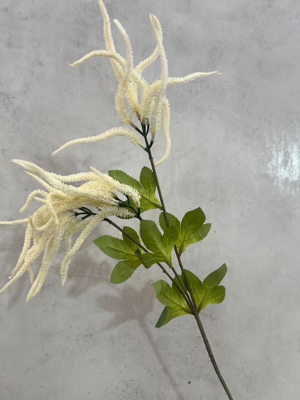 شاخه ورونیکا ژله ای 3 بازو وارداتی