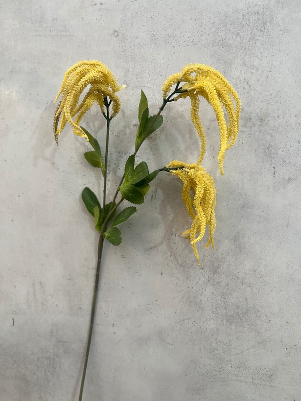 شاخه ورونیکا ژله ای 3 بازو وارداتی