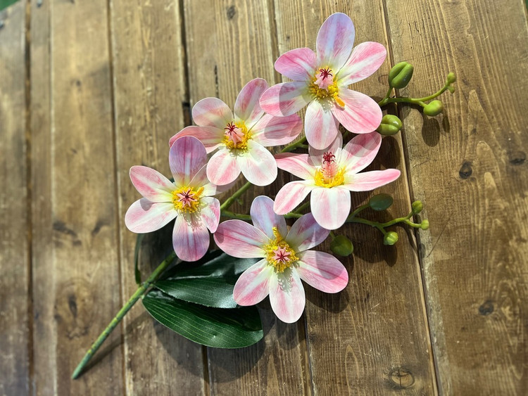شاخه مگنولیا 5 گل وارداتی لمسی