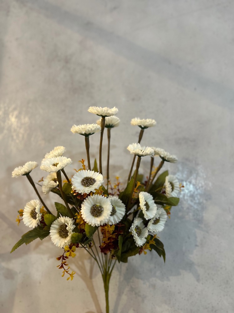 بوته مینا شکوفه رنگی وارداتی